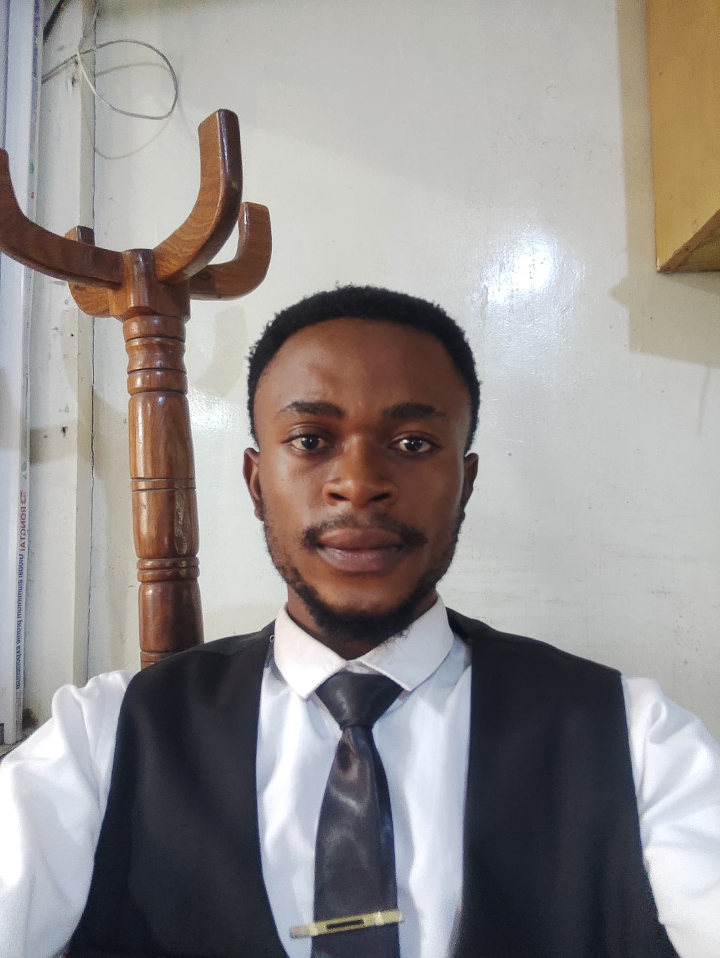Raphael Adedeji, Graphic Designer